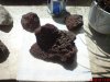 DSC00728.JPG