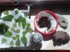 DSC00730.JPG