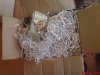 DSC00732.JPG