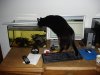 DSC01054.jpg