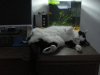 DSC01193.jpg