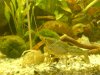 DSC00748.JPG