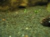 IMG_3069.JPG