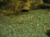 IMG_3070.JPG