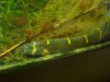 DSC07289.JPG