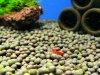 wine-red-2.jpg