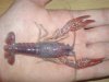 DSC00784.JPG