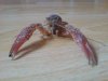 DSC00786.JPG