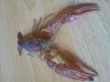 DSC00787.JPG