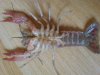 DSC00788.JPG