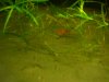 DSC07455.JPG