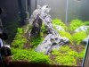 100_4308.jpg