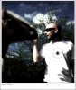 horse2.jpg