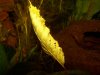 100_2224.JPG