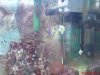 DSC00660a.JPG