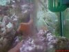 DSC00691a.JPG