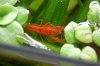 DSC_0413.jpg