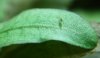 Bild 1020.jpg