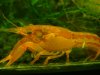 DSC07748.JPG