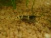 DSC07668.JPG