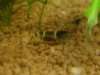 DSC07674.JPG