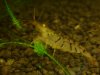 DSC07677.JPG