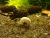 DSC07766.JPG