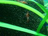 DSC07768.JPG