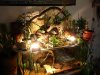 DSC05837.1.jpg