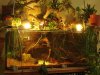 DSC05830.1.jpg