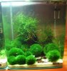 20 L MAI 09.jpg