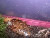 mandarinenminis 029_(800_x_600).jpg
