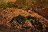 IMG_5162+2.JPG
