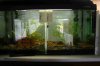 IMG_5199+2.JPG