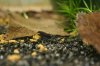 IMG_5224+2.JPG