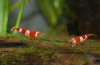 2009_07_25 042.jpg