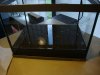 DSC00736.jpg