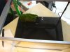 DSC00738.jpg