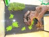 DSC00742.jpg