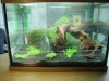 DSC00745.jpg