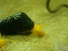 DSC07867.JPG