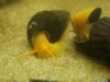DSC07869.JPG