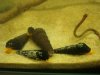 DSC07874.JPG