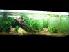 160l akadama 03082009.JPG