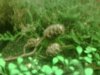 IMG00028.jpg