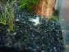DSC00766.JPG