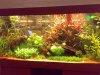 13082009457.jpg