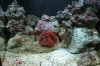 DSC_2395_01.jpg