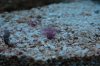 DSC_2408_01.jpg
