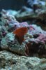 DSC_2409_01.jpg